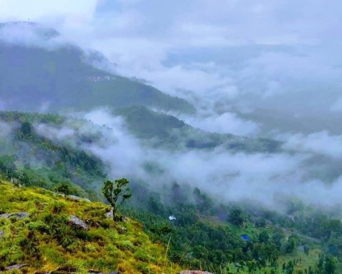 0787e46e-dd7c-4850-b1e2-a870641e16f5