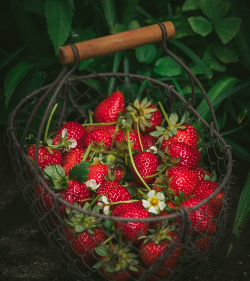 strawberries-metal-basket